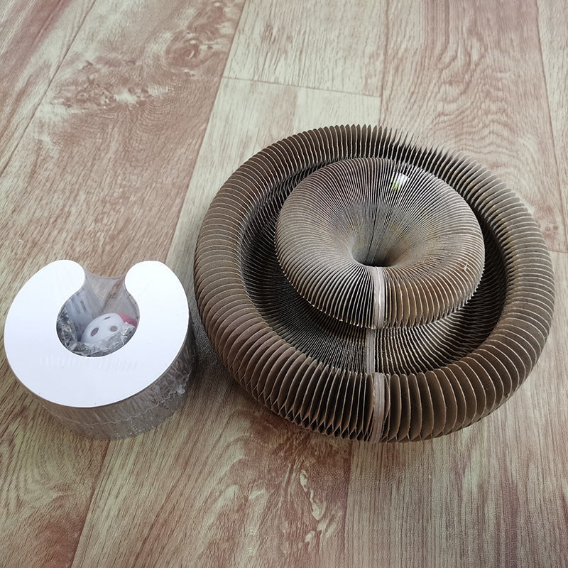 Active Fun for Your Cat – PurrPlay