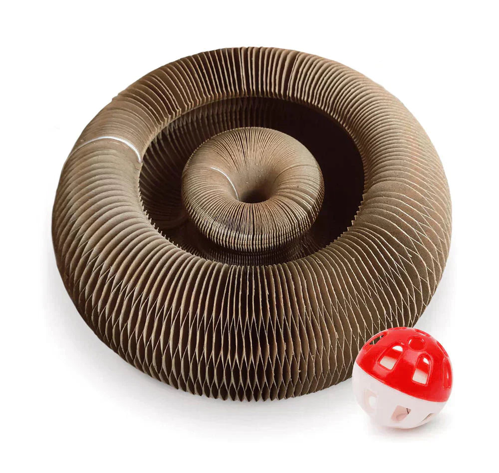 Active Fun for Your Cat – PurrPlay