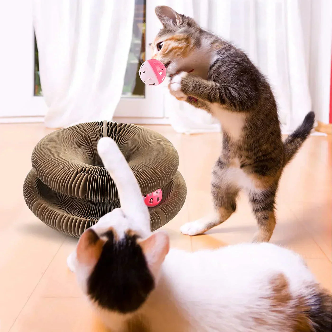 Active Fun for Your Cat – PurrPlay
